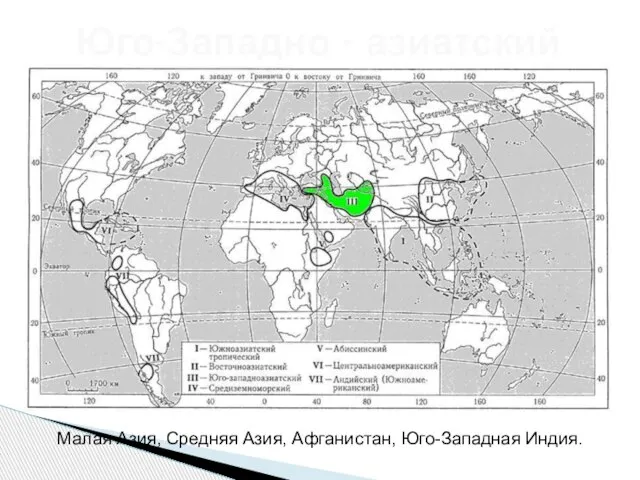 Юго-Западно - азиатский Малая Азия, Средняя Азия, Афганистан, Юго-Западная Индия.