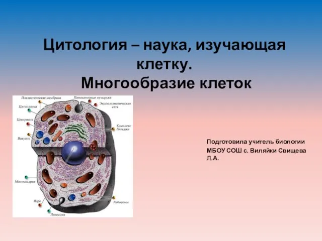 Презентация на тему Цитология – наука, изучающая клетку