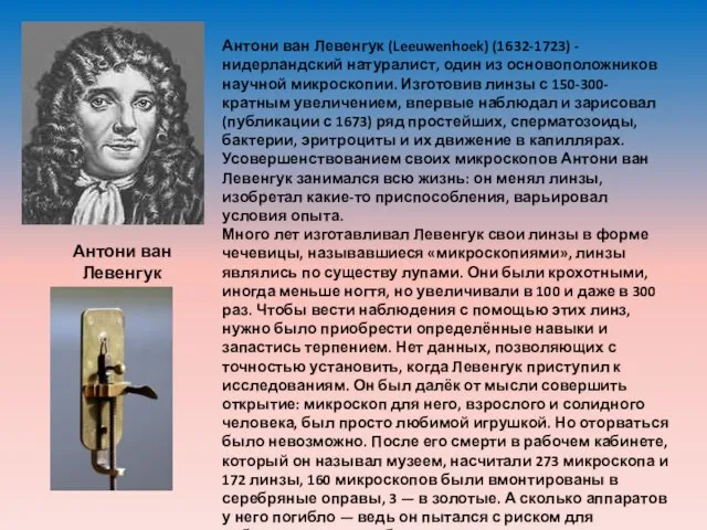 Антони ван Левенгук 1632-1723 Антони ван Левенгук (Leeuwenhoek) (1632-1723) - нидерландский натуралист,