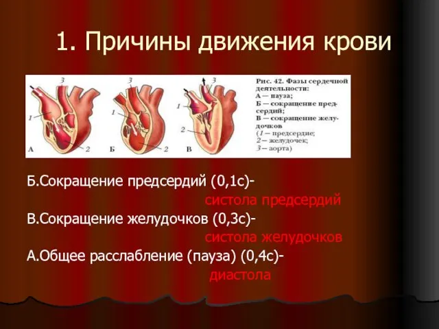 1. Причины движения крови Б.Сокращение предсердий (0,1с)- систола предсердий В.Сокращение желудочков (0,3с)-