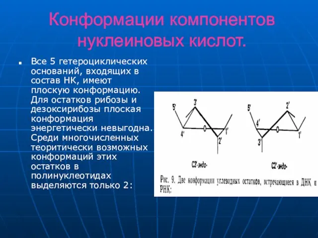 Конформации компонентов нуклеиновых кислот. Все 5 гетероциклических оснований, входящих в состав НК,