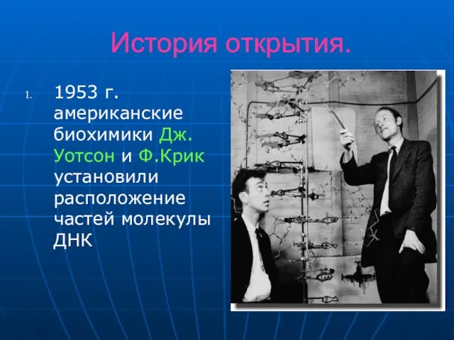 История открытия. 1953 г. американские биохимики Дж. Уотсон и Ф.Крик установили расположение частей молекулы ДНК