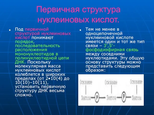 Первичная структура нуклеиновых кислот. Под первичной структурой нуклеиновых кислот понимают порядок, последовательность