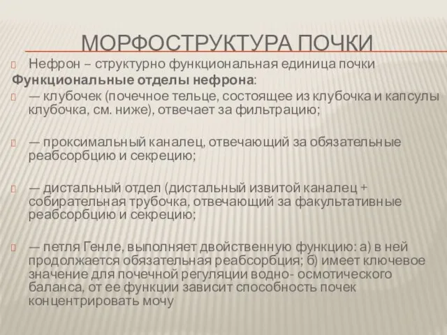 Морфоструктура почки Нефрон – структурно функциональная единица почки Функциональные отделы нефрона: —