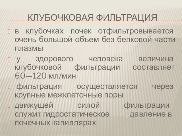 Клубочковая фильтрация в клубочках почек отфильтровывается очень большой объем без белковой части