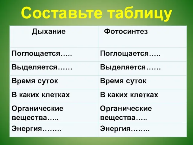 Составьте таблицу