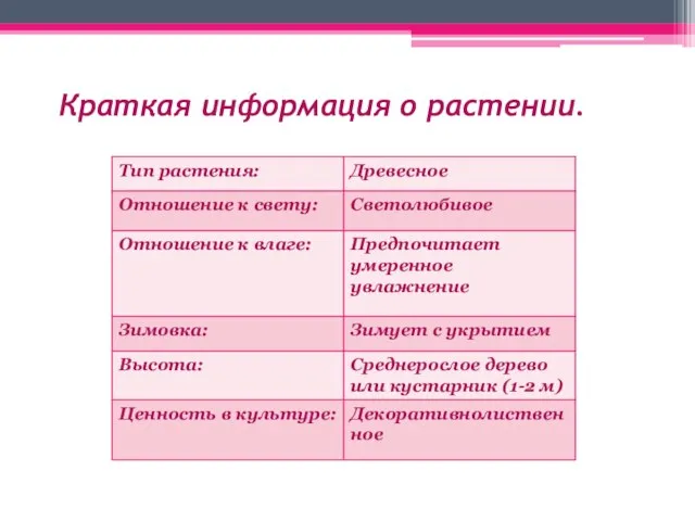 Краткая информация о растении.