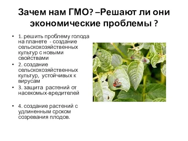 Зачем нам ГМО? –Решают ли они экономические проблемы ? 1. решить проблему