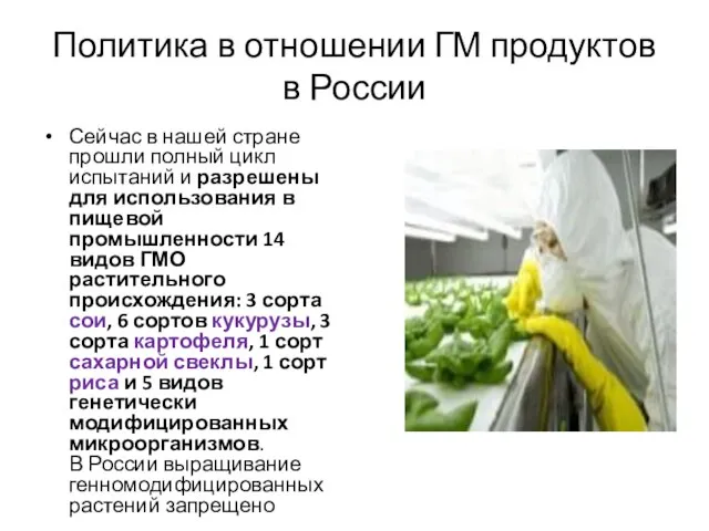 Политика в отношении ГМ продуктов в России Сейчас в нашей стране прошли