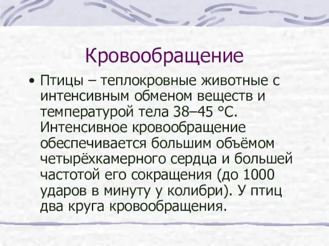 Кровообращение Птицы – теплокровные животные с интенсивным обменом веществ и температурой тела