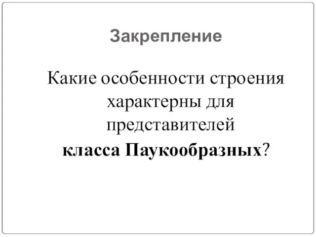 Закрепление Какие особенности строения характерны для представителей класса Паукообразных?