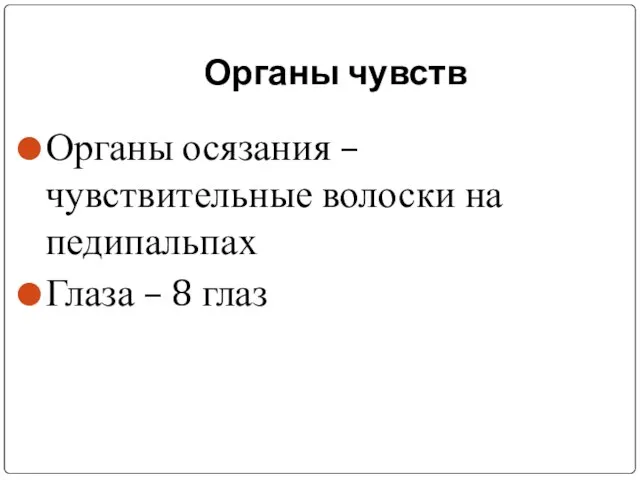 Органы чувств Органы осязания – чувствительные волоски на педипальпах Глаза – 8 глаз