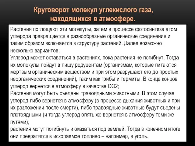 Круговорот молекул углекислого газа, находящихся в атмосфере. Растения поглощают эти молекулы, затем