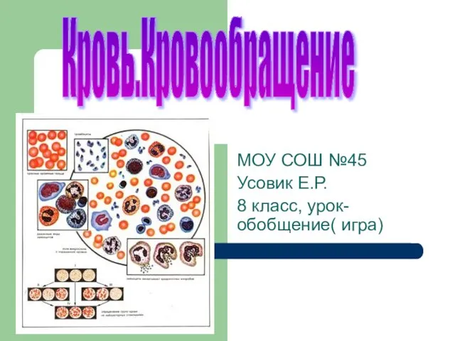 Презентация на тему Кровь и кровообращение