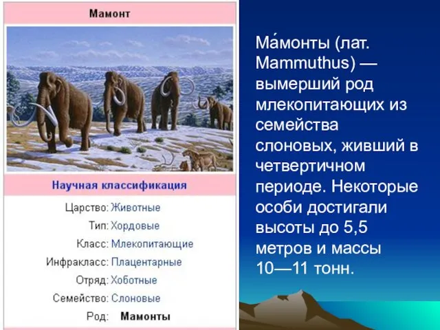 Ма́монты (лат. Mammuthus) — вымерший род млекопитающих из семейства слоновых, живший в