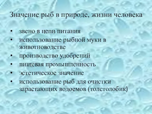 Значение рыб в природе, жизни человека звено в цепи питания использование рыбной