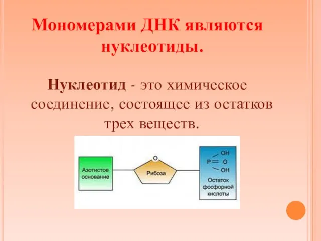 Мономерами ДНК являются нуклеотиды. Нуклеотид - это химическое соединение, состоящее из остатков трех веществ.