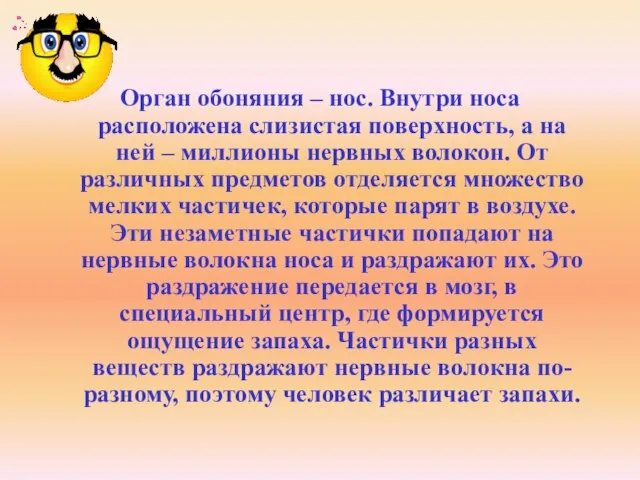 Орган обоняния – нос. Внутри носа расположена слизистая поверхность, а на ней