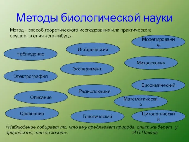 Методы биологической науки Описание Сравнение Моделирование Генетический Цитологический Биохимический Эксперимент Наблюдение Математический