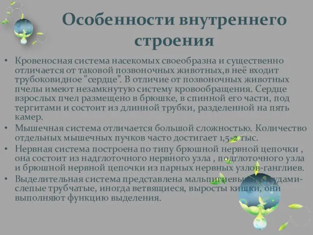 Особенности внутреннего строения Кровеносная система насекомых своеобразна и существенно отличается от таковой