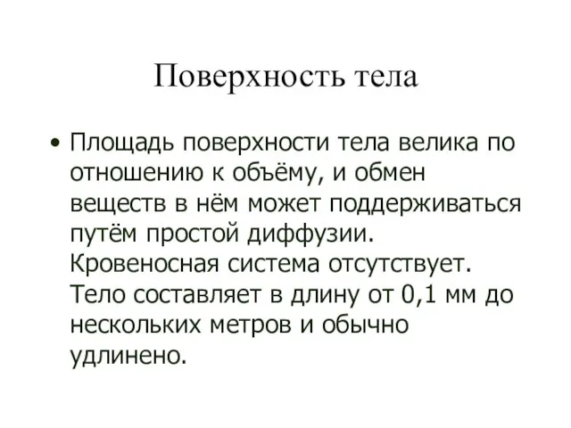 Поверхность тела Площадь поверхности тела велика по отношению к объёму, и обмен