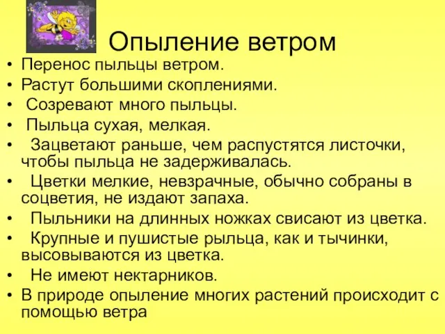 Опыление ветром Перенос пыльцы ветром. Растут большими скоплениями. Созревают много пыльцы. Пыльца