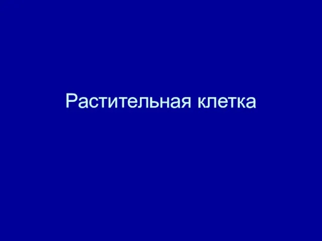 Презентация на тему Растительная клетка