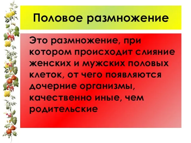 Половое размножение Это размножение, при котором происходит слияние женских и мужских половых