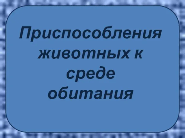 Презентация на тему Приспособления животных к среде обитания