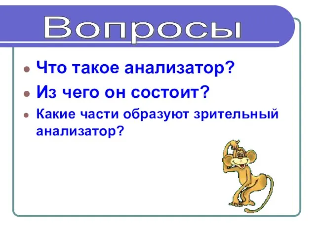 Что такое анализатор? Из чего он состоит? Какие части образуют зрительный анализатор? Вопросы