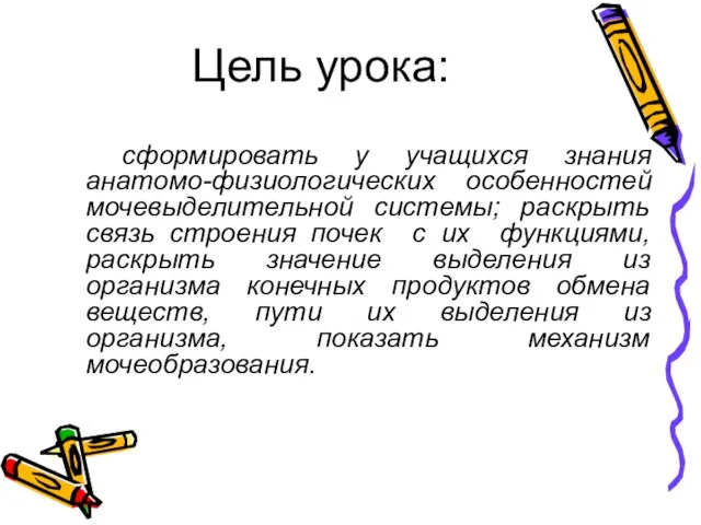 Цель урока: сформировать у учащихся знания анатомо-физиологических особенностей мочевыделительной системы; раскрыть связь