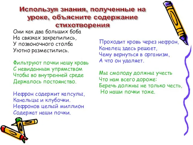 Проходит кровь через нефрон, Каналец здесь решает, Чему вернуться в организм, А