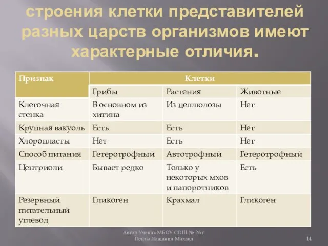 Автор Ученик МБОУ СОШ № 26 г. Пензы Лощинин Михаил строения клетки