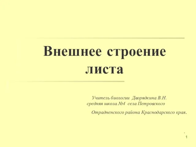 Презентация на тему Внешнее строение листа