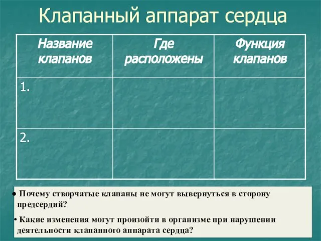 Клапанный аппарат сердца Почему створчатые клапаны не могут вывернуться в сторону предсердий?