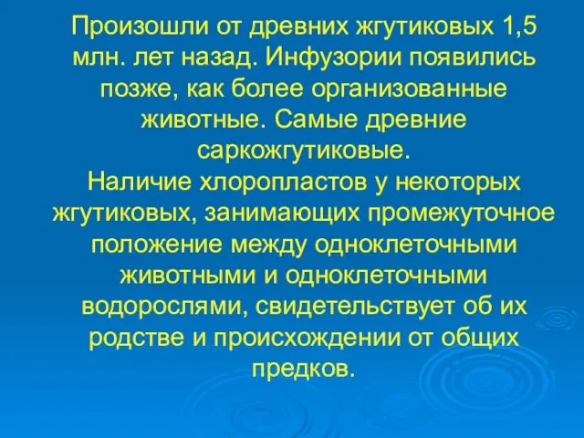 Произошли от древних жгутиковых 1,5 млн. лет назад. Инфузории появились позже, как