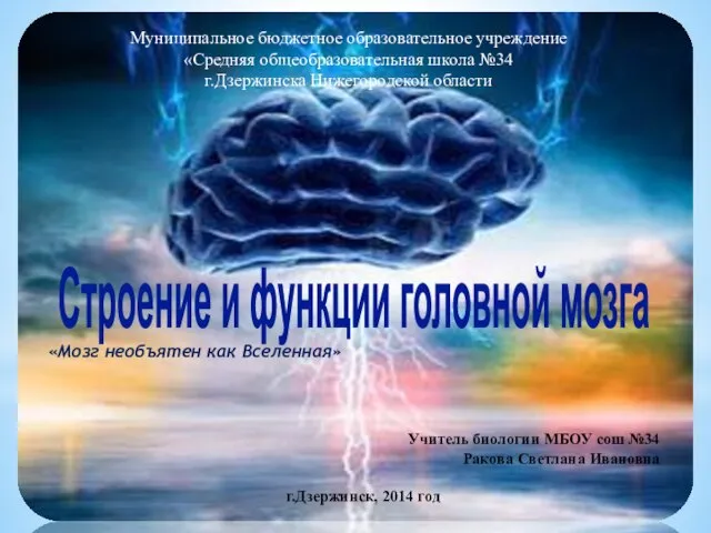 Презентация на тему Строение и функции головного мозга