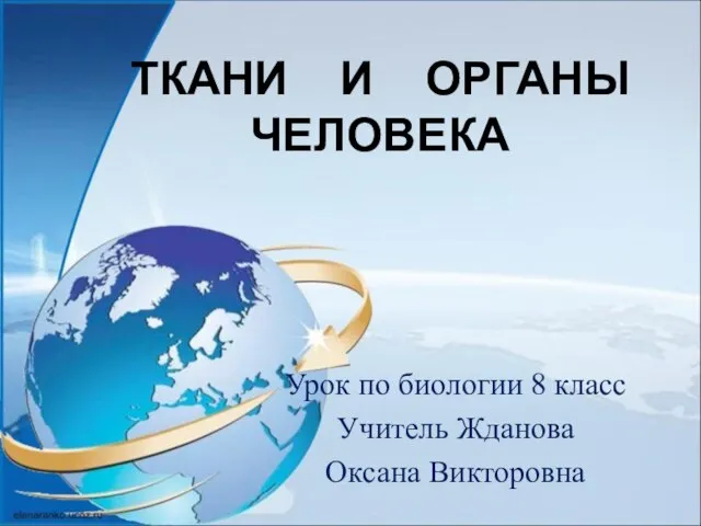 Презентация на тему ТКАНИ И ОРГАНЫ ЧЕЛОВЕКА биология 8 класс