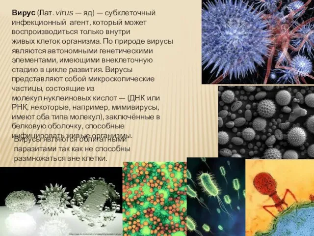 Вирус (Лат. virus — яд) — субклеточный инфекционный агент, который может воспроизводиться