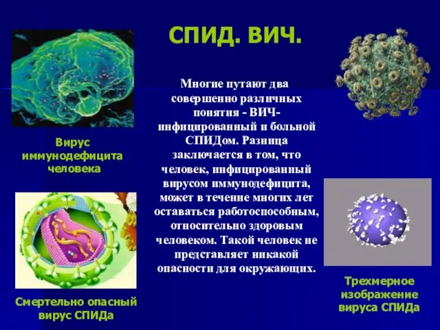 СПИД. ВИЧ. Многие путают два совершенно различных понятия - ВИЧ- инфицированный и