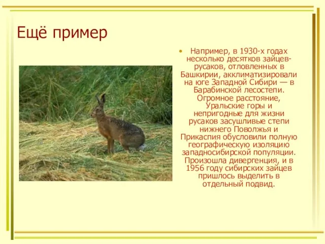 Ещё пример Например, в 1930-х годах несколько десятков зайцев-русаков, отловленных в Башкирии,