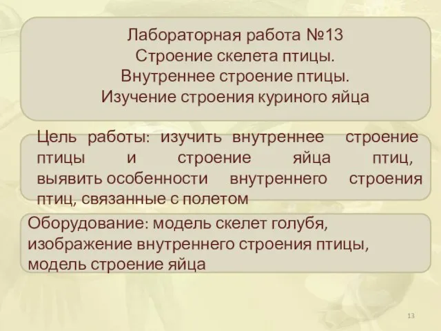 Цель работы: изучить внутреннее строение птицы и строение яйца птиц, выявить особенности