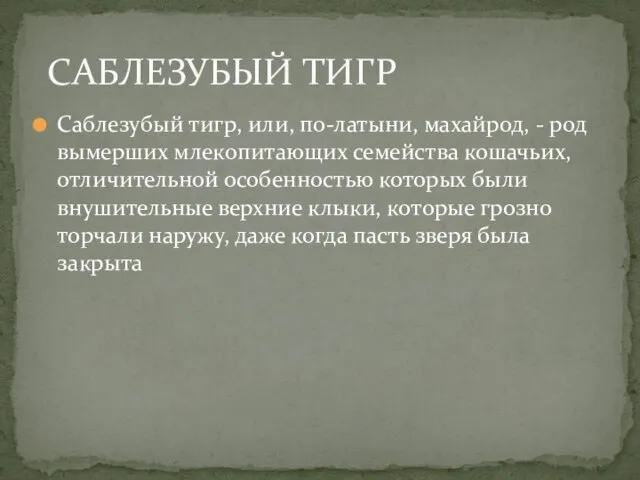 Саблезубый тигр, или, по-латыни, махайрод, - род вымерших млекопитающих семейства кошачьих, отличительной