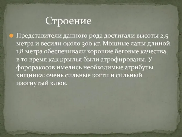 Представители данного рода достигали высоты 2,5 метра и весили около 300 кг.