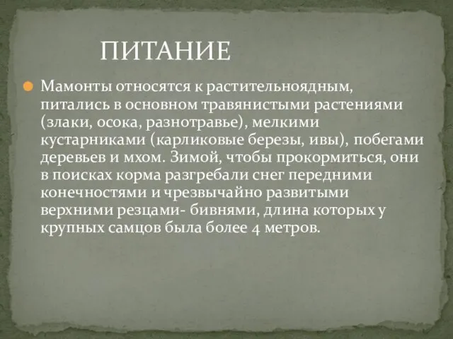 Мамонты относятся к растительноядным, питались в основном травянистыми растениями (злаки, осока, разнотравье),