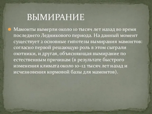 Мамонты вымерли около 10 тысяч лет назад во время последнего Ледникового периода.