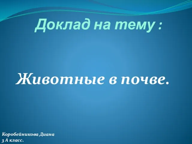 Презентация на тему Животные в почве