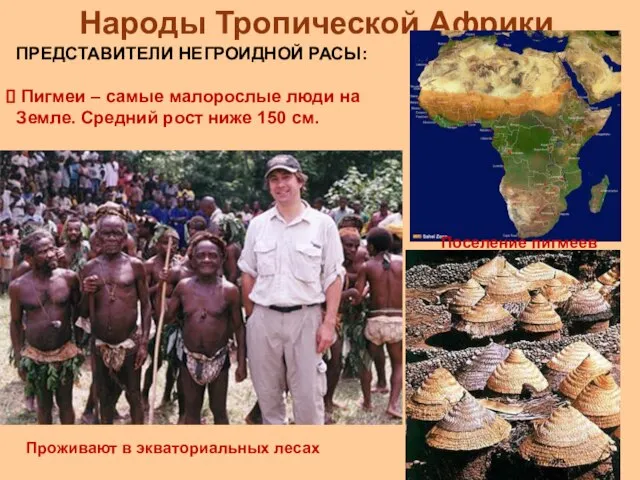 Народы Тропической Африки ПРЕДСТАВИТЕЛИ НЕГРОИДНОЙ РАСЫ: Пигмеи – самые малорослые люди на