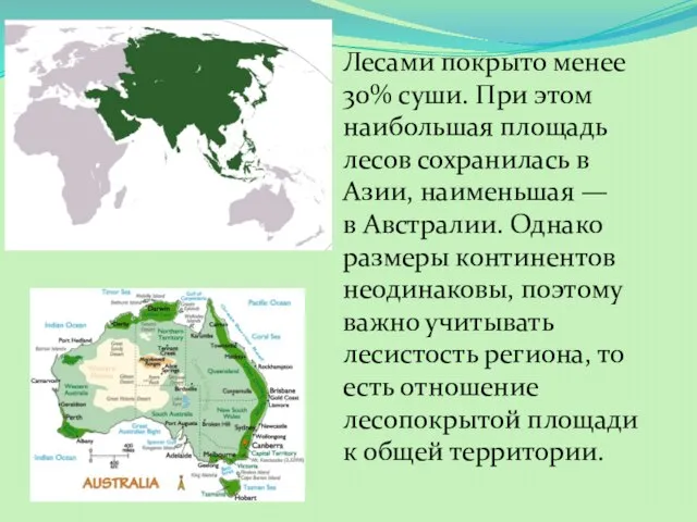 Лесами покрыто менее 30% суши. При этом наибольшая площадь лесов сохранилась в