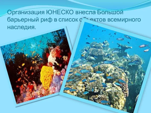 Организация ЮНЕСКО внесла Большой барьерный риф в список объектов всемирного наследия.